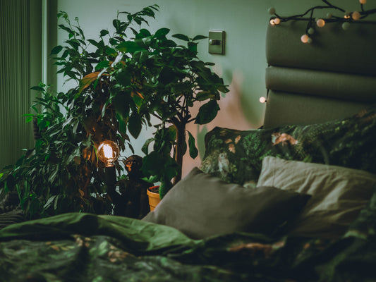 How Much Do You Know about Bedroom Layout?