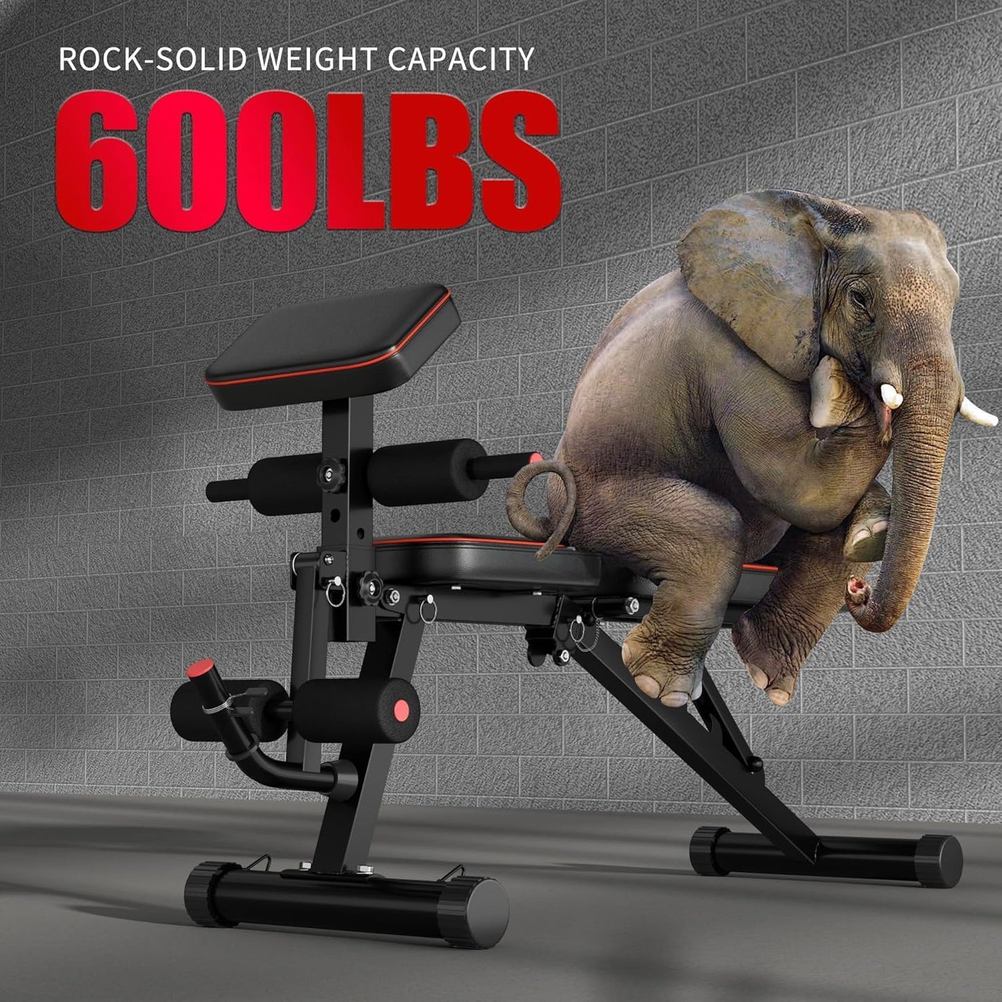Folding Weight Bench for Home Training Gym Weightlifting Sit-Up Abs Bench Flat Tilt Multipurpose Training Bench