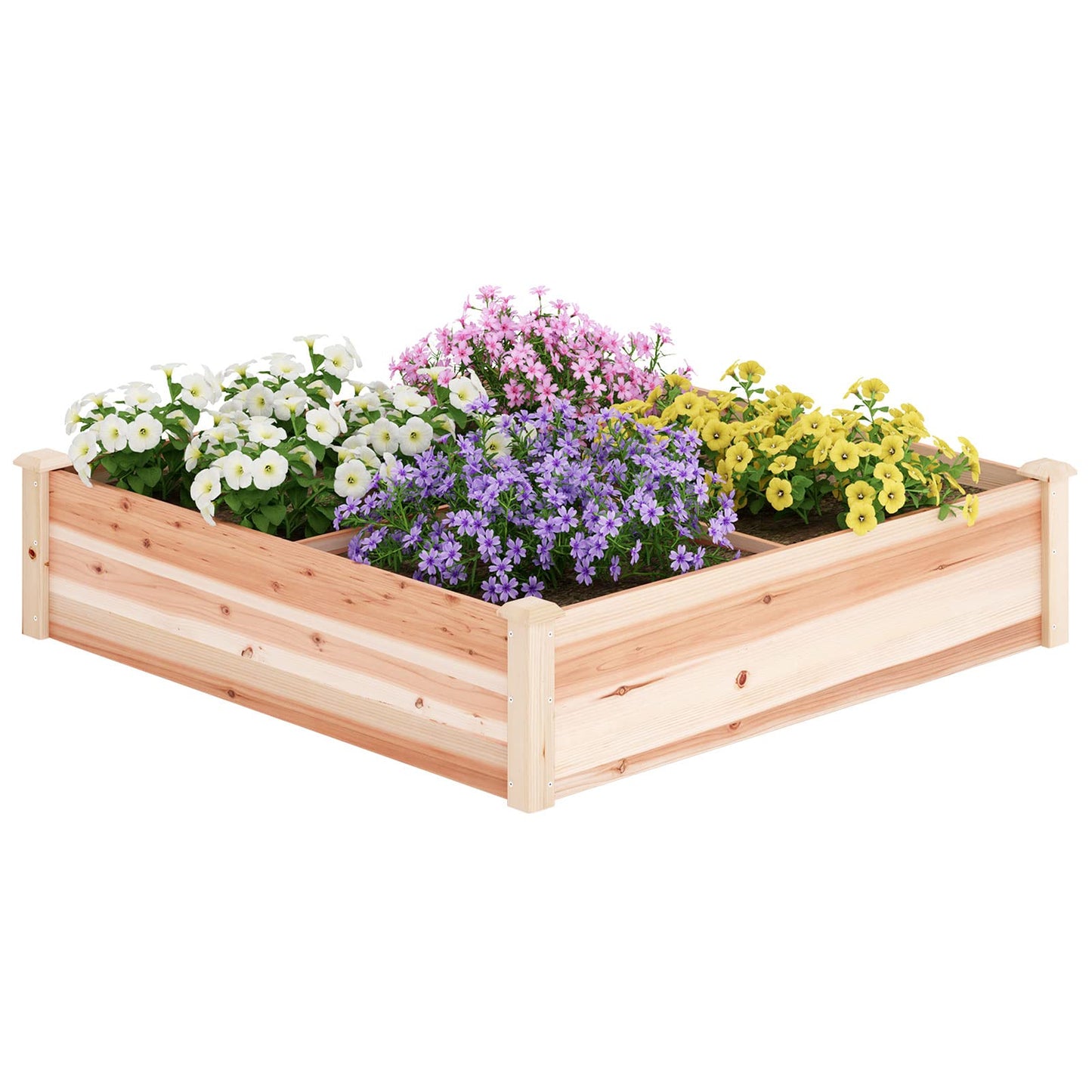 SogesHome Wooden Plant Raised Garden Bed, 46.9"x 46.9"x 10.4" Plant Grow Box with Divider, Outdoor Elevated Planter Box Kit, Planting Container Planting Bed for Vegetables, Flowers, Herb